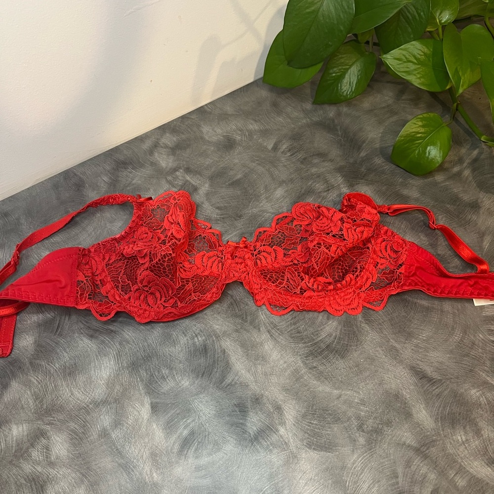 Red bra